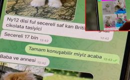 Sosyal Medya ‘PetGram’ Oldu!