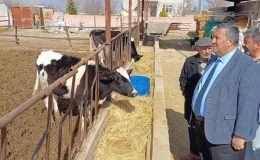 “Ahır Giderleri Artarken Çiğ Süt Fiyatlarındaki Artış Besicileri Rahatlatmayacak”