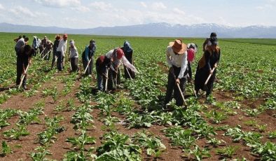 Cumhurbaşkanlığı’ndan Mevsimlik Tarım İşçilerine Yönelik Yeni Genelge