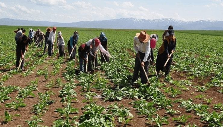 Cumhurbaşkanlığı’ndan Mevsimlik Tarım İşçilerine Yönelik Yeni Genelge