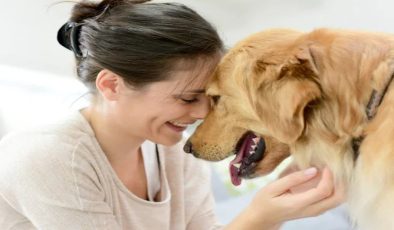 Köpeklerin kimin stresli olduğunu anlaması yalnızca birkaç saniye sürer