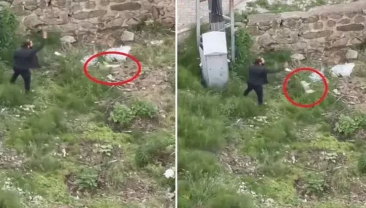 Sokak Hayvanları Uyutulacak! Peki Bu Caniye Ne Yapılacak?
