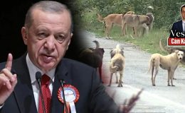 “Sokak ya da Ölüm” İkilemine Mecbur Değiliz