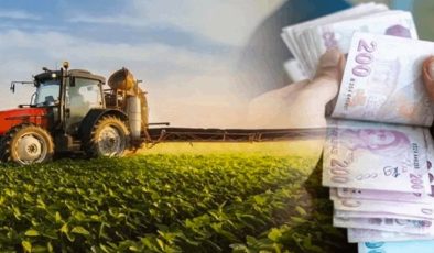 Tarımsal Verimliliği Artıracak Kredi İmkanları Yolda: İşte Belirlenen Esaslar
