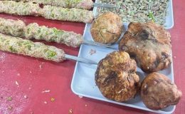 Urfalılar’a Kebap Yapacak Yeni Malzeme Çıktı! Porsiyonu 600 Liradan Satılıyor. Kırmızı Etten Daha Fazla Protein İçeriyor