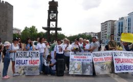 AKP’nin Sokak Hayvanları Kanununa Tepki: Bu Teklif Kan Kokuyor