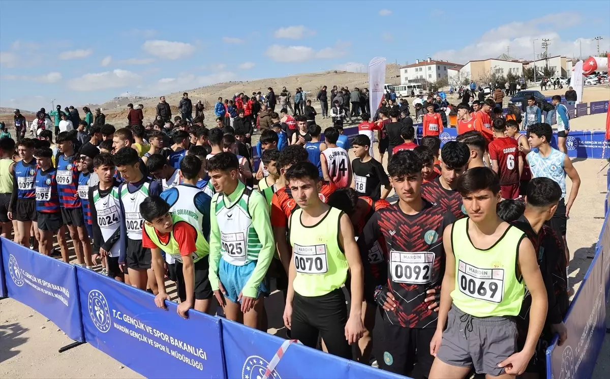 Mardin’de Kros Yarışmaları Yapıldı