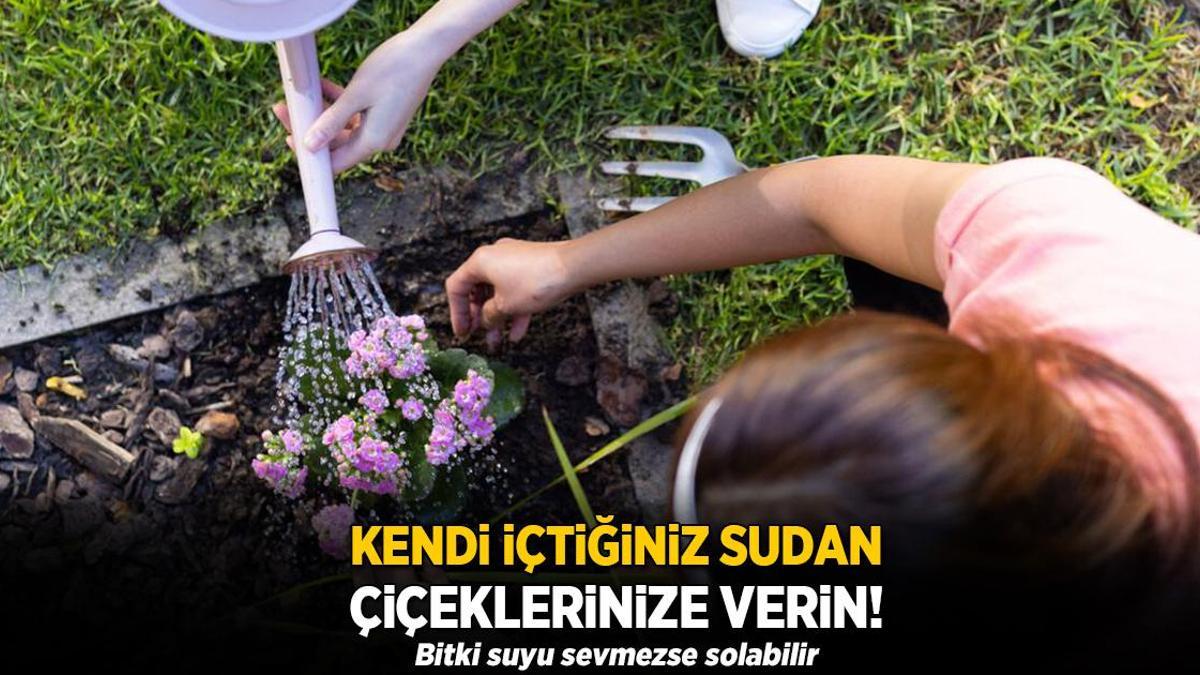 Musluk suyu solduruyormuş! Seyreltince çiçekler coşacak, deneyenler memnun