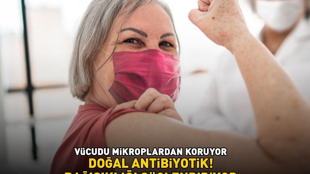 Doğal antibiyotik tezgahlardaki yerini aldı! Bağışıklığı güçlendiriyor, vücudu mikroplardan koruyor